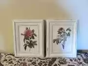 Free download Pierre Redoute `Roses Douleur` set created by Georgina Rockas free photo or picture to be edited with GIMP online image editor